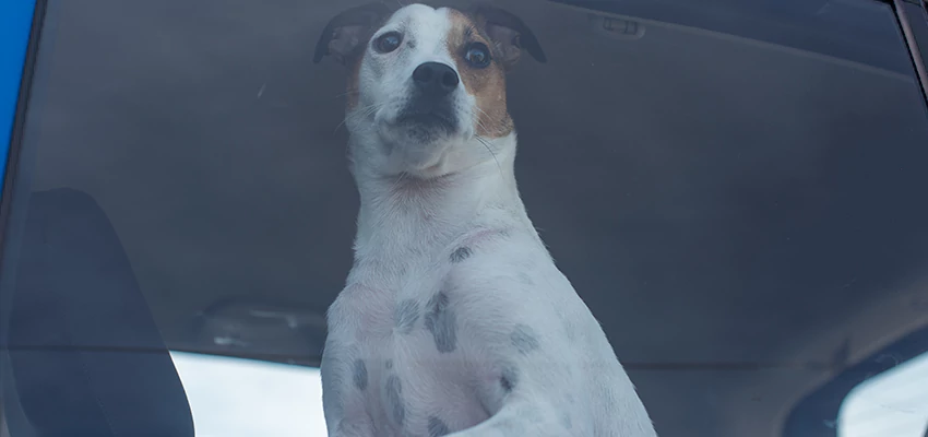 Car Lockout Solutions in Good Hope, California